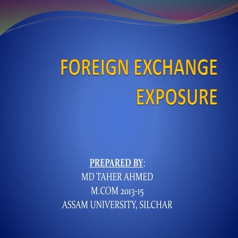 Foreign exchange exposure