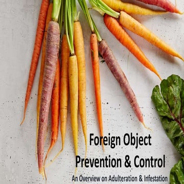 Foreign Object Prevention & Control