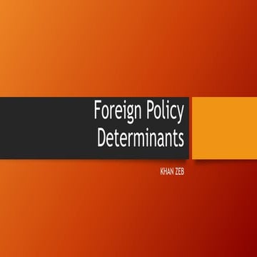 Foreign policy determinants
