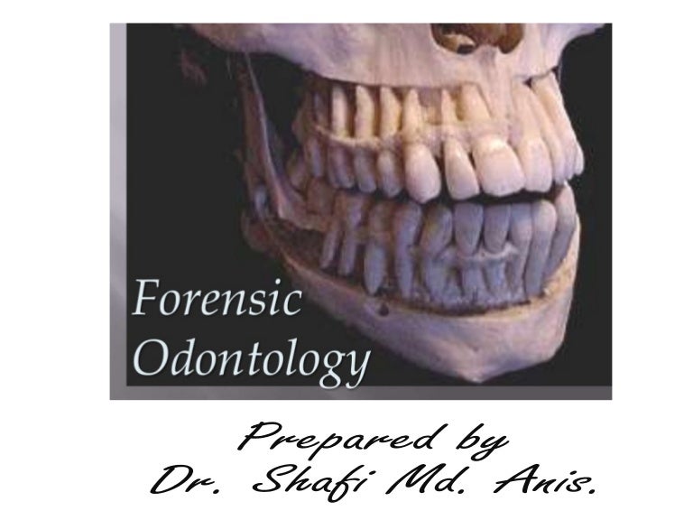 forensic-odontology
