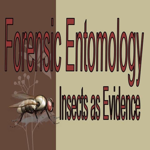 Forensic entemology