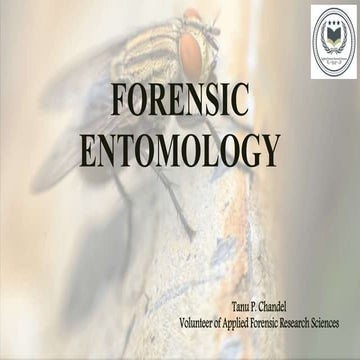 Forensic Entomology