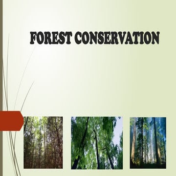 -Forest-Protection-and-Conservation.pptx