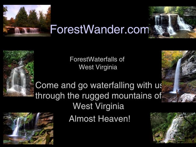 ForestWander Waterfalls