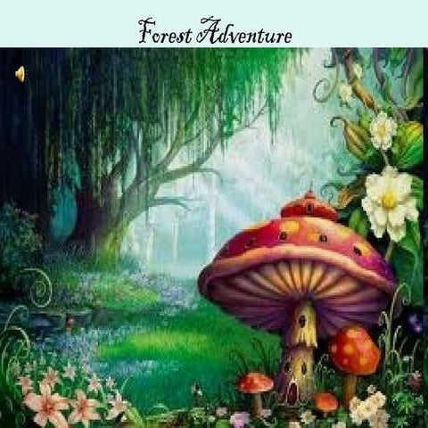 Forest adventure Hungary