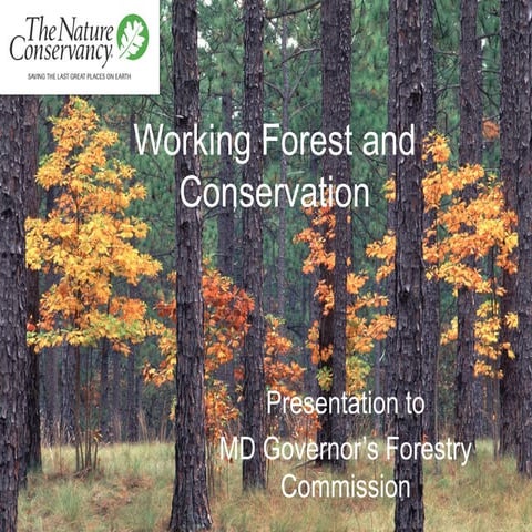 Forest and conservation