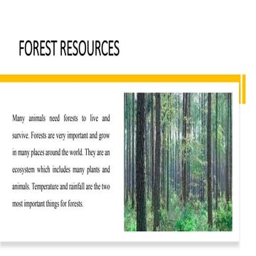 Forest and mineral resources