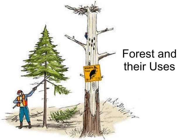 Forest and their_uses