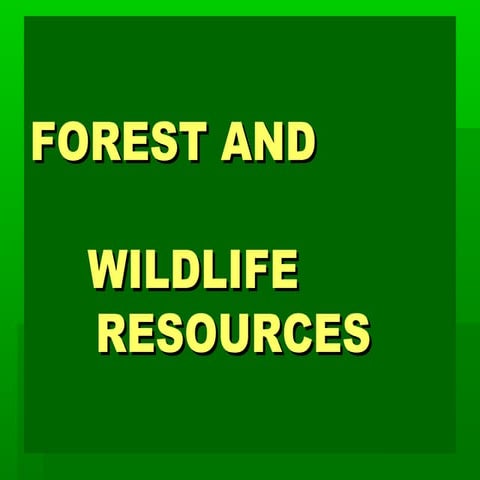 Forest and wildlife resources