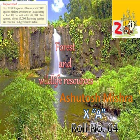 Forest and wildlife resources class 9