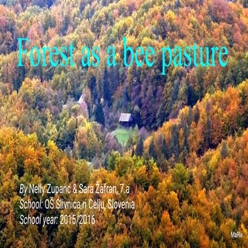 Forest as a bee pasture | PPTX