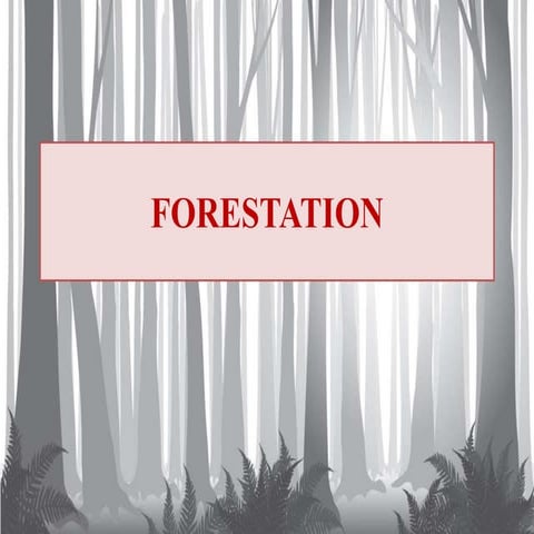 Forestation