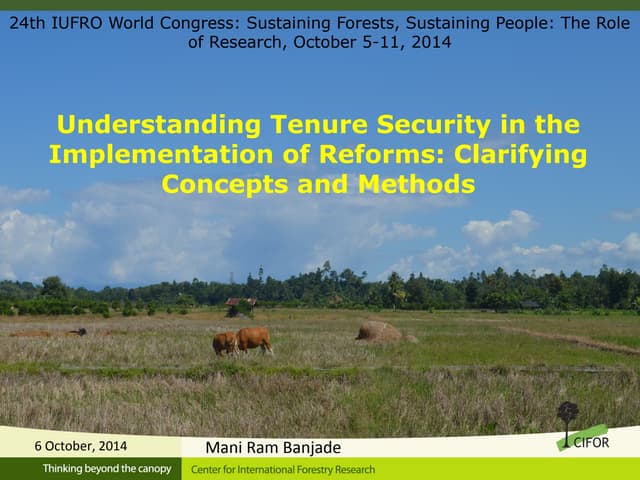 Impact of forest certification on sustainable forest management 