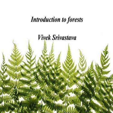 Forest classification
