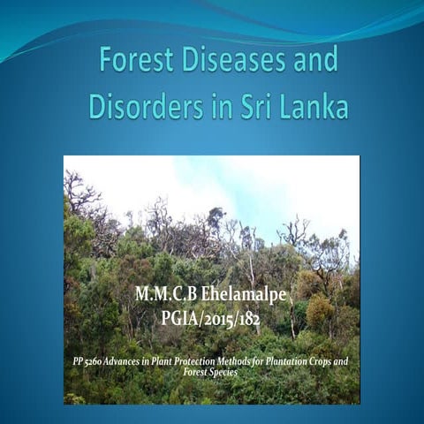 Forest diseases and disorders