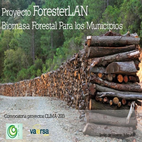 Foresterlan: Biomasa Forestal para los municipios