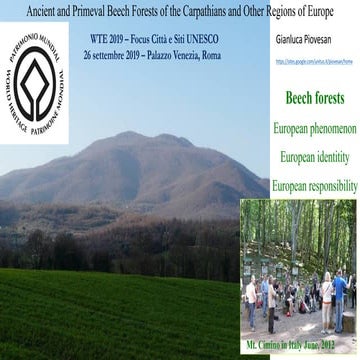 FORESTE VETUSTE | Gianluca Piovesan | UNESCO | settembre 2019