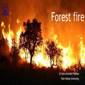 Forest fire