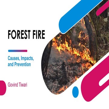 FOREST FIRE CAUSES IMAPACT ANF PREVENATION | PPTX