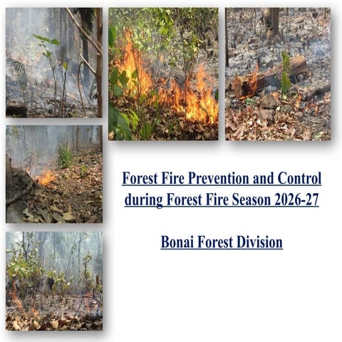 FOREST FIRE mitigation and management techniques | PPTX