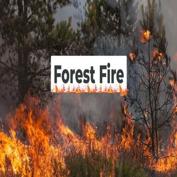 FOREST FIRE MANAGEMENT IMMAN.pptx FIRE CONTROL | PPTX