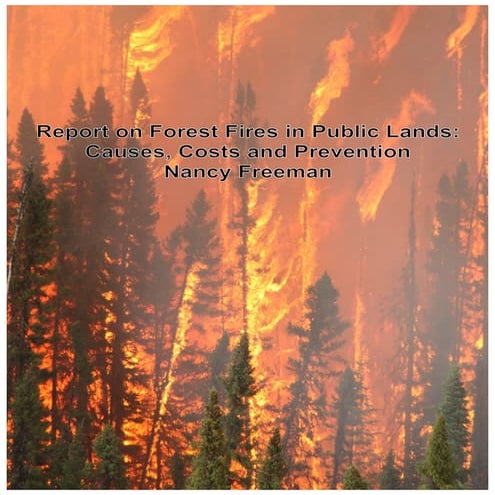 The True Facts About Forest Fires