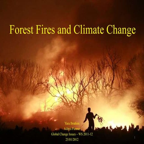 Forest fires and climate change   gci (ws2011)