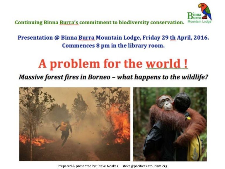 Forest Fires Kalimantan On The Island Of Borneo