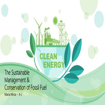 The Sustainable Management and Conservation of Fossil Fuels