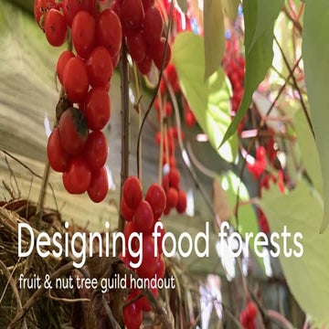 Designing food forests: fruit & nut tree guild handout