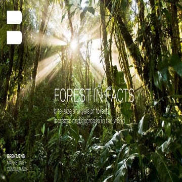 Forest in Facts -  why the WWF earns our support