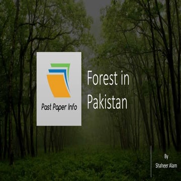 Forest in pakistan