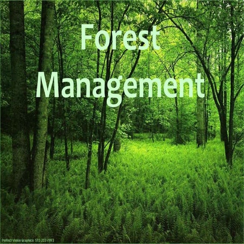 Forest management | PPTX