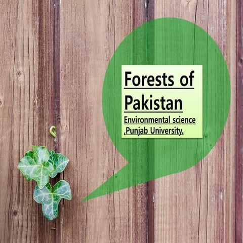 Forest of Pakistan.