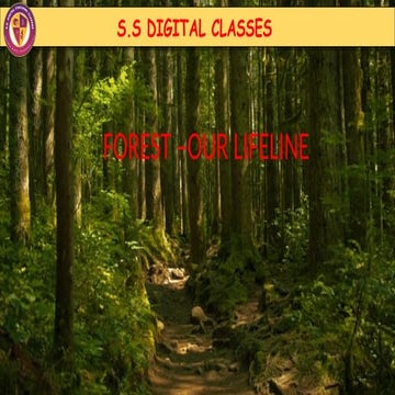Understanding Forest Ecosystems: Structure, Functions, and Importance ...