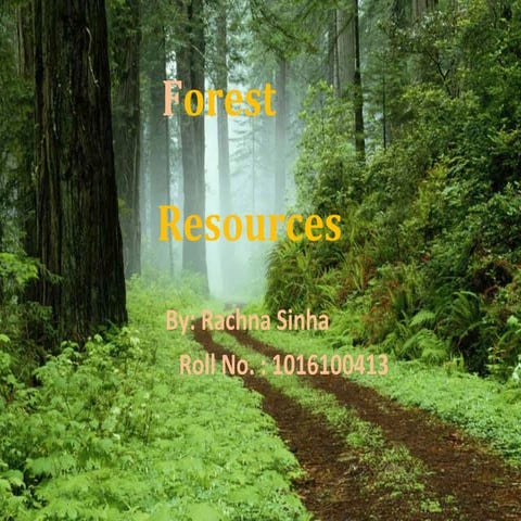 Forest resources