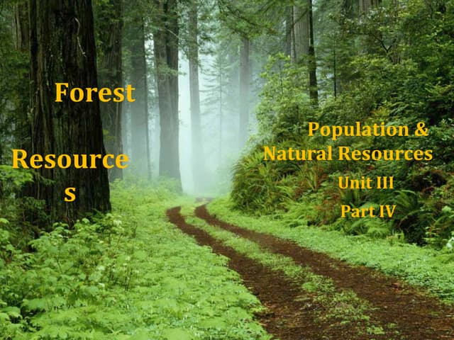 Forest resources