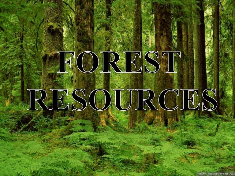 Forest resources