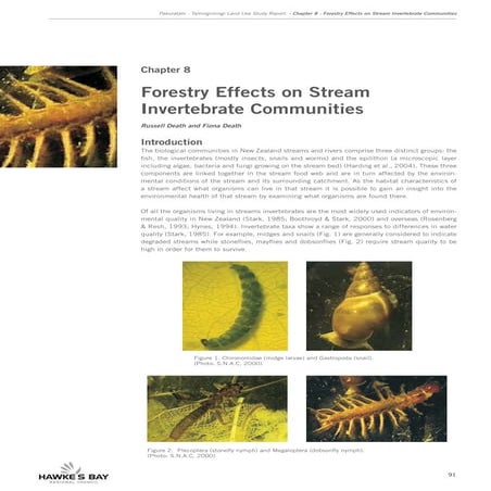 Effects of a severe drought on Quercus ilex radial growth and xylem ...