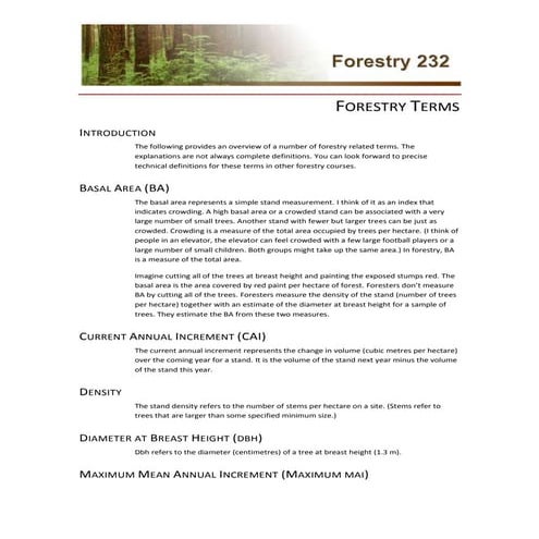 How to Conduct a Tree Survey: A Step-by-Step Guide.pdf
