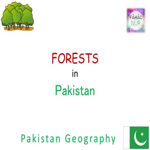 Pakistan Geography - Forest In Pakistan - Pakistan Location