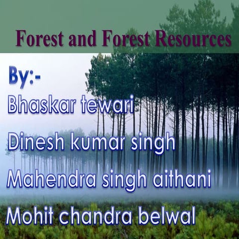 Forests and forest resources