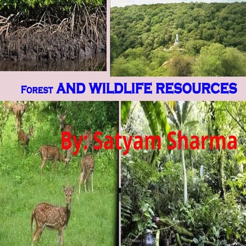 CBSE Social Science Geography Chapter 2 Class 10 Forest and Wildlife ...