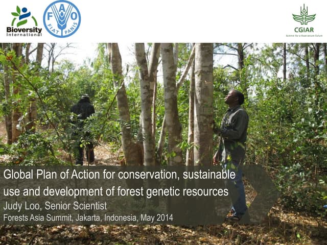 Global Plan of Action for conservation, sustainable use and development of forest genetic resources