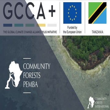 Forests Intl.  EU External 09-13-2018