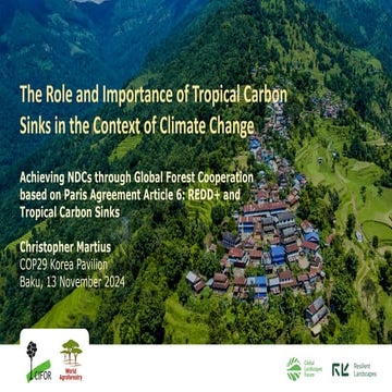 The Role and Importance of Tropical Carbon Sinks in the Context of Climate Ch...