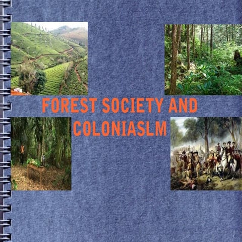 Forest society and colnialsm