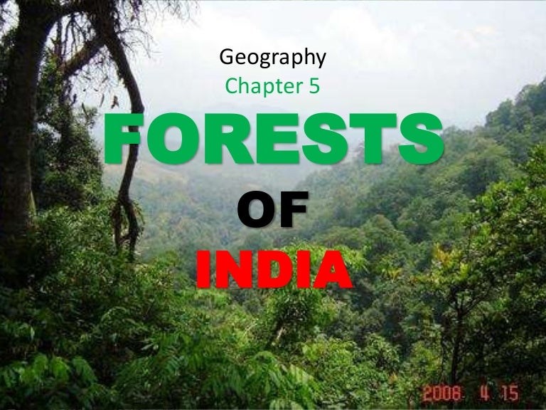 Types Of Forests In India