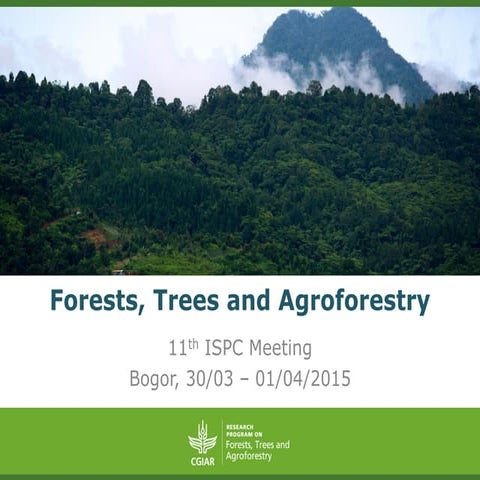 Forests, trees and agroforestry - Robert Nasi