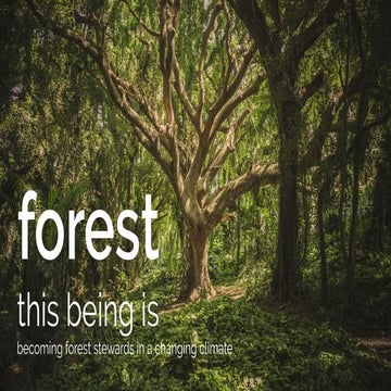 Forest this being is: becoming forest stewards in a changing climate
